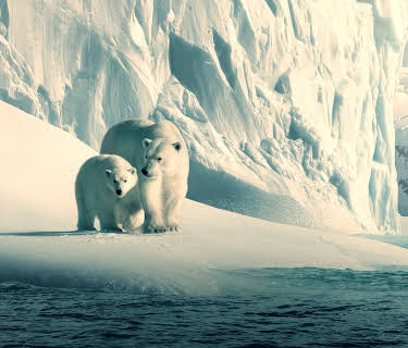 Our Planet – Vårt utrolige hjem