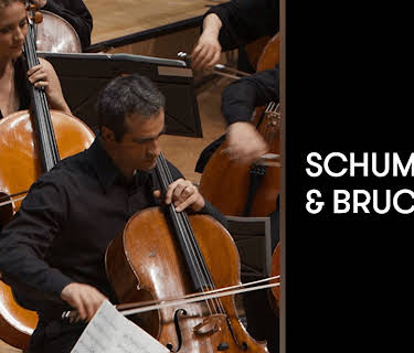 Schumann and Bruckner (2017)
