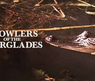 Prowlers of the Everglades (1953)