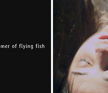 The Summer of Flying Fish (2013)
