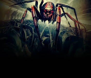 Spiders on a Plane (2024)