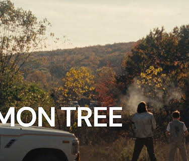 Lemon Tree (2023)