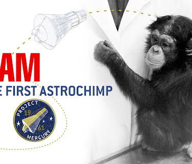 Ham The First Astrochimp (2026)