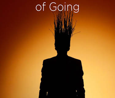 The Feeling of Going (2016)