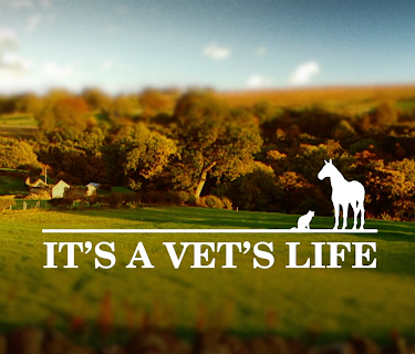 It's A Vet's Life