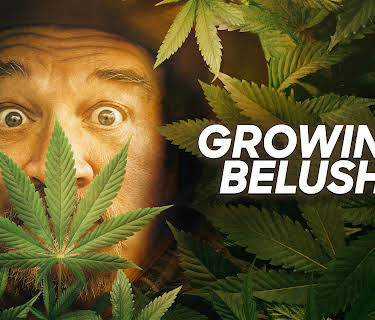 Growing Belushi