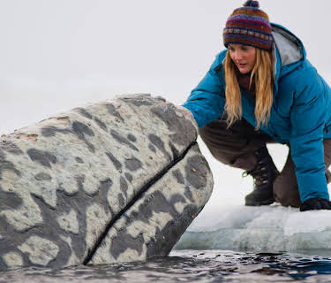 Big Miracle (2012)