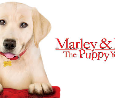 Marley & Me: The Puppy Years (2011)