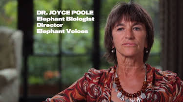 Joyce Poole