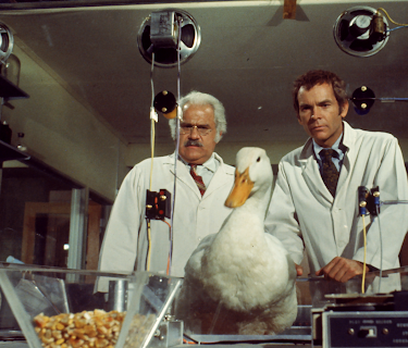 Den vilda jakten på Charlie (1971)