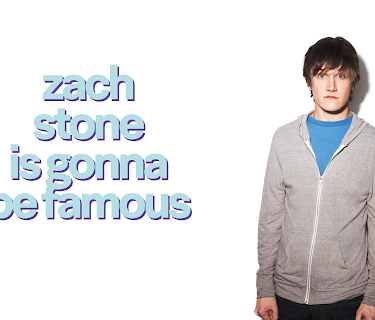 Zach Stone is Gonna Be Famous Season 1