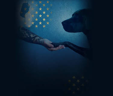 To Be of Service (2019)