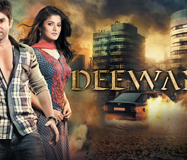 Deewana (2013)