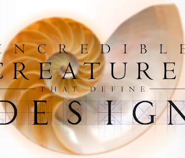 Incredible Creatures That Define Design (2017)