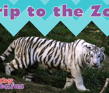 Baby Genius: A Trip To The San Diego Zoo