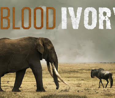 Blood Ivory Season 1