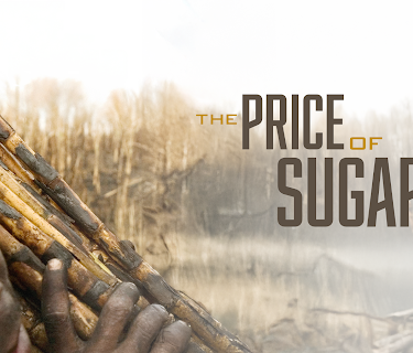 The Price of Sugar (2007)