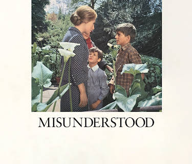 Misunderstood (1966) (2024)