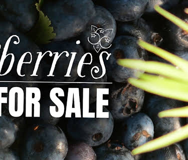 Berries For Sale