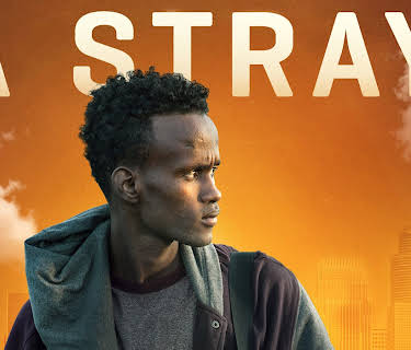 A Stray (2016)