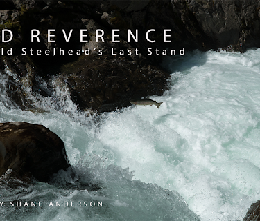 Wild Reverence (2015)