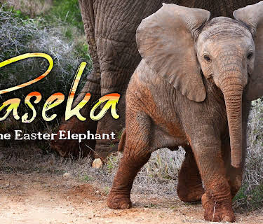 Paseka The Easter Elephant (2012)