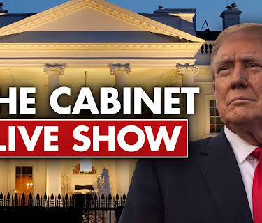 The Cabinet: Live Show