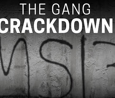 The Gang Crackdown (1983)