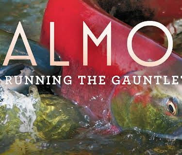 Salmon: Running the Gauntlet (2011)