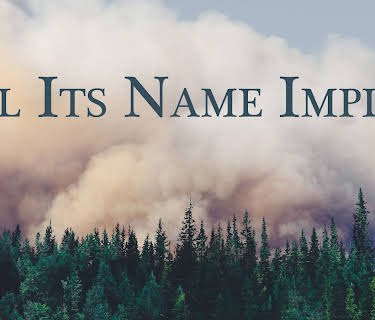 All Its Name Implies (2020)