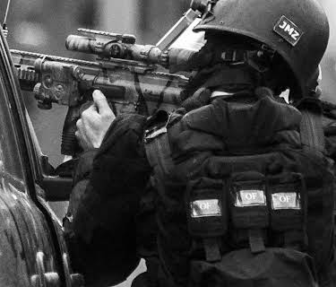 Three Days of Terror: The Charlie Hebdo Attacks (2016)