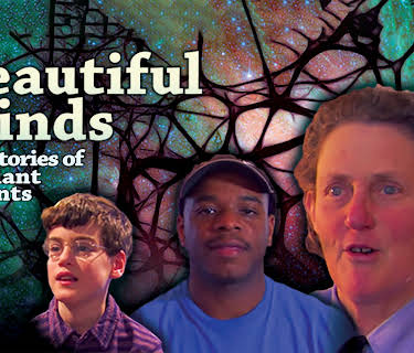 Beautiful Minds (2015)