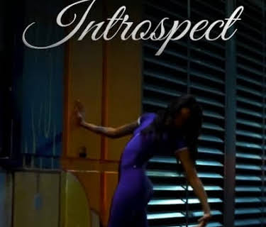 Introspect (2023)