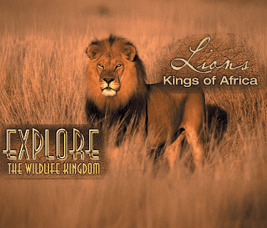 Explore The Wildlife Kingdom: Lions - Kings of Africa (2026)