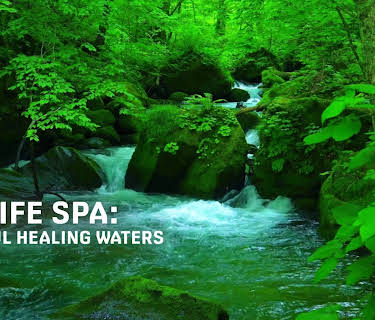 ZenLIFE Spa: Peaceful Healing Waters (2024)