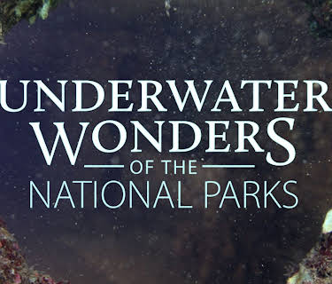 Underwater Wonders Of The National Parks