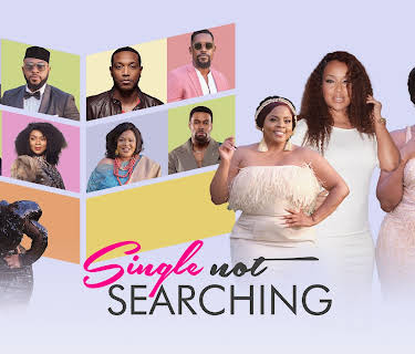 Single Not Searching (2022)