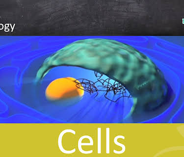Cells - School Movie on Biology