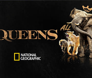 Queens Season 1
