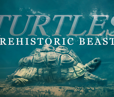 Turtles: Prehistoric Beasts (2015)