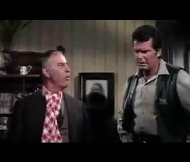 Support Your Local Sheriff (1969)