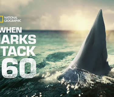When Sharks Attack 360