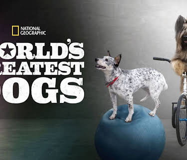 World's Greatest Dogs (2016)