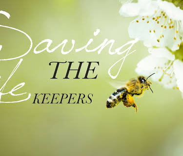 Saving The Life Keepers (2015)