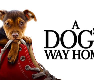 A Dog's Way Home (2019)