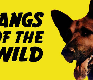 Fangs of the Wild (1939)