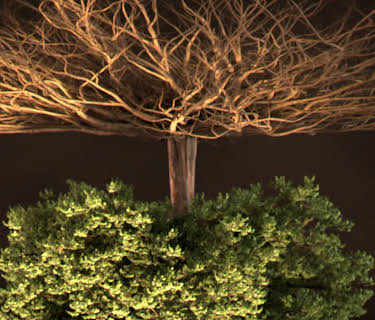 Secret Life Underground