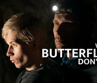 Where Butterflies Don't Fly (2022)