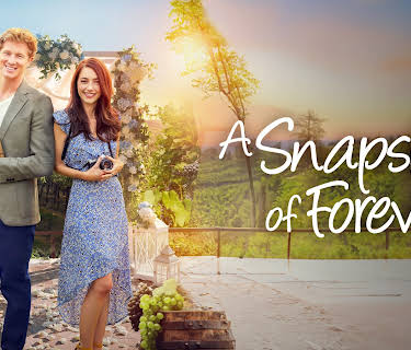 A Snapshot of Forever (2025)