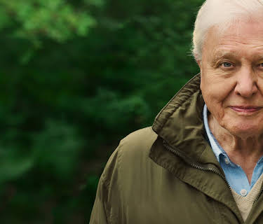 David Attenborough: Et liv på vår planet (2020)